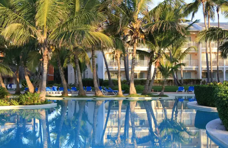 pool-hotel-palm-tree